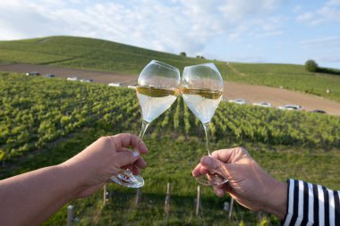 Beyaz şarap brut, büyük rezervler, yeşil üzüm bağlarında şampanya eski şaraplarda büyük Cru Ay-Şampanya köyü Vallee de la Marne 'da, şampanya, Fransa' da günbatımında, düğün konsepti