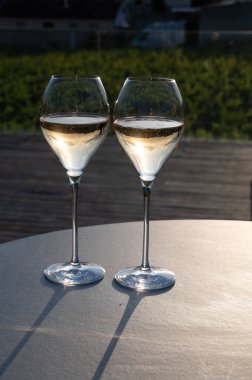 Beyaz şarap brut, büyük rezervler, yeşil üzüm bağlarında şampanya eski şaraplarda büyük Cru Ay-Şampanya köyü Vallee de la Marne 'da, şampanya, Fransa' da günbatımında, düğün konsepti