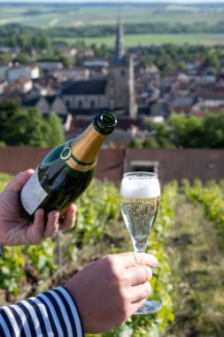 Beyaz, köpüklü şarap, büyük rezervler, Ay-Şampanya 'da şampanya eski şaraplarda yeşil tepe üzüm bağları Vallee de la Marne' da köy, Fransa 'nın Şampanya Bölgesi