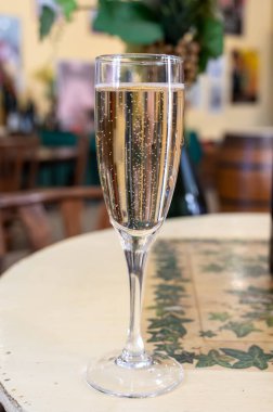 Beyaz, köpüklü şarap brut, Grand Rezerv, Grand Cru 'da şampanya Vallee de la Marne' da köy yapımı Ay-Şampanya Şarabı, Champagne Bölgesi, Fransa