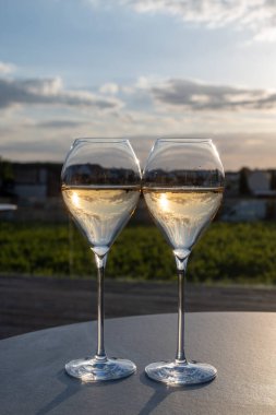 Beyaz şarap brut, büyük rezervler, yeşil üzüm bağlarında şampanya eski şaraplarda büyük Cru Ay-Şampanya köyü Vallee de la Marne 'da, şampanya, Fransa' da günbatımında, düğün konsepti