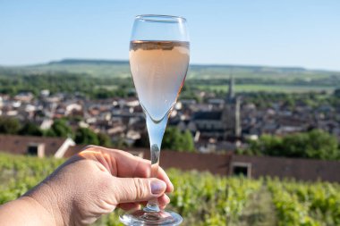 Bir bardak köpüklü şarap brut, büyük rezerv, yeşil tepe üzüm bağlarında şampanya ve Vallee de la Marne 'de eski şarap köyü manzaralı şampanya, Fransa