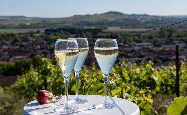 Kuru, köpüklü şarap brut, büyük rezervler, yeşil tepe üzüm bağlarında şampanya ve Vallee de la Marne, Fransa 'nın Şampanya Bölgesi' nde köy yapımı eski şaraplar.
