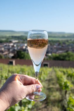 Bir bardak köpüklü şarap brut, büyük rezerv, yeşil tepe üzüm bağlarında şampanya ve Vallee de la Marne 'de eski şarap köyü manzaralı şampanya, Fransa