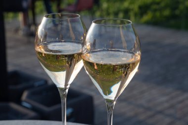 Beyaz şarap brut, büyük rezervler, yeşil üzüm bağlarında şampanya eski şaraplarda büyük Cru Ay-Şampanya köyü Vallee de la Marne 'da, şampanya, Fransa' da günbatımında, düğün konsepti