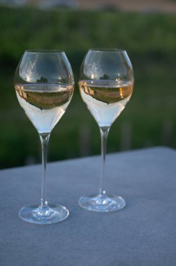 Beyaz şarap brut, büyük rezervler, yeşil üzüm bağlarında şampanya eski şaraplarda büyük Cru Ay-Şampanya köyü Vallee de la Marne 'da, şampanya, Fransa' da günbatımında, düğün konsepti