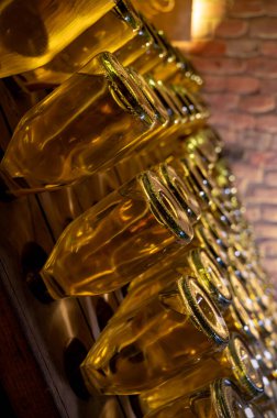 Derin ve uzun yeraltı mağaralarındaki raflarda şişeler şarap ve siyah üzümlerden şampanya yapıyor Reims, Champagne, Fransa 'da