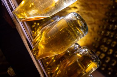 Derin ve uzun yeraltı mağaralarındaki raflarda şişeler şarap ve siyah üzümlerden şampanya yapıyor Reims, Champagne, Fransa 'da