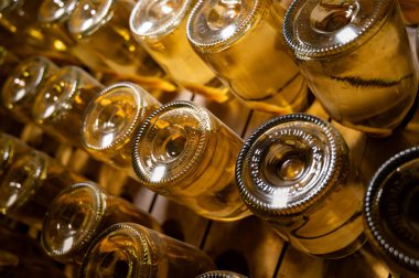 Derin ve uzun yeraltı mağaralarındaki raflarda şişeler şarap ve siyah üzümlerden şampanya yapıyor Reims, Champagne, Fransa 'da