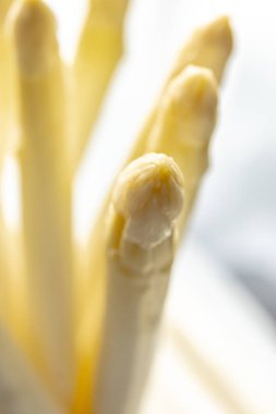 Hollandalı çiftçiler yüksek kaliteli ürünler, yıkanmış ve soyulmuş taze beyaz kuşkonmaz, mevsimlik vejetaryen gıdalar, gün ışığında