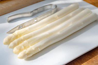 Hollandalı çiftçiler yüksek kaliteli ürünler, yıkanmış ve soyulmuş taze beyaz kuşkonmaz, mevsimlik vejetaryen gıdalar, gün ışığında