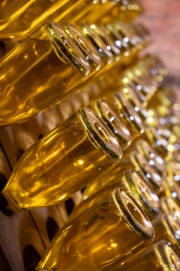 Derin ve uzun yeraltı mağaralarındaki raflarda şişeler şarap ve siyah üzümlerden şampanya yapıyor Reims, Champagne, Fransa 'da