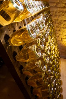 Derin ve uzun yeraltı mağaralarındaki raflarda şişeler şarap ve siyah üzümlerden şampanya yapıyor Reims, Champagne, Fransa 'da