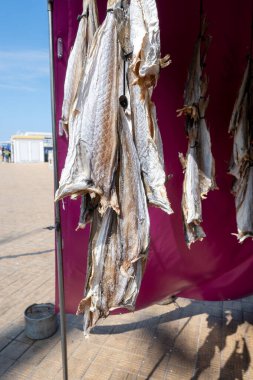 Oostende, Belçika 'da deniz gezintisine havayla ya da tuzlanmış morina balığıyla süslenmiş.