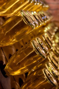 Derin ve uzun yeraltı mağaralarındaki raflarda şişeler şarap ve siyah üzümlerden şampanya yapıyor Reims, Champagne, Fransa 'da