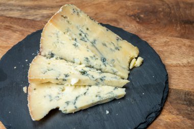 Peynir koleksiyonu, İngiliz ineği sütü yarı yumuşak, eski püskü mavi peynir yakından, peynir tatma çiftliği