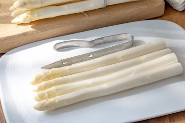 Hollandalı çiftçiler yüksek kaliteli ürünler, yıkanmış ve soyulmuş taze beyaz kuşkonmaz, mevsimlik vejetaryen gıdalar, gün ışığında