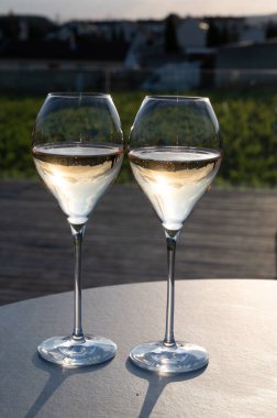Beyaz şarap brut, büyük rezervler, yeşil üzüm bağlarında şampanya eski şaraplarda büyük Cru Ay-Şampanya köyü Vallee de la Marne 'da, şampanya, Fransa' da günbatımında, düğün konsepti