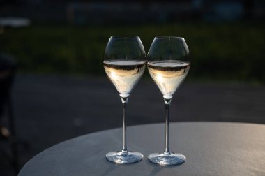 Beyaz şarap brut, büyük rezervler, yeşil üzüm bağlarında şampanya eski şaraplarda büyük Cru Ay-Şampanya köyü Vallee de la Marne 'da, şampanya, Fransa' da günbatımında, düğün konsepti