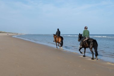 Kuzey Denizi 'nin sıcacık sahil köyünde beyaz kumlu bir sahil. Flanders, De Haan veya Le Coq sur Mer' de Belle Epoque tarzında inşa edilmiş.