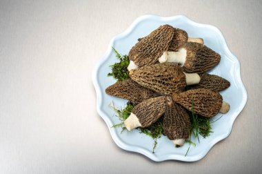 Çiğ bahar mantarları morşeller ya da gerçek mantarlar gurme aşçılar için yenilebilir kese mantarları, Katalan ve Fransız mutfağında, yenilebilir yabani mantarlar