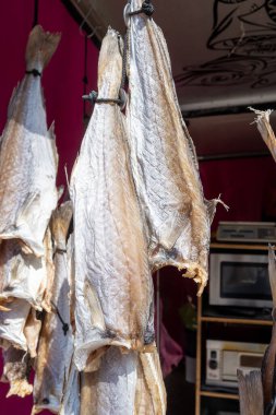 Oostende, Belçika 'da deniz gezintisine havayla ya da tuzlanmış morina balığıyla süslenmiş.