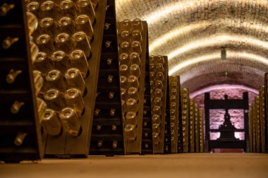 Derin ve uzun yeraltı mağaralarındaki raflarda şişeler şarap ve siyah üzümlerden şampanya yapıyor Reims, Champagne, Fransa 'da