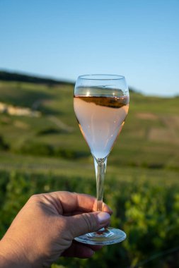 Bir bardak köpüklü şarap brut, büyük rezerv, yeşil tepe üzüm bağlarında şampanya ve Vallee de la Marne 'de eski şarap köyü manzaralı şampanya, Fransa