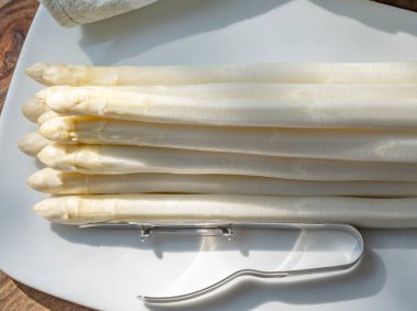 Hollandalı çiftçiler yüksek kaliteli ürünler, yıkanmış ve soyulmuş taze beyaz kuşkonmaz, mevsimlik vejetaryen gıdalar, gün ışığında