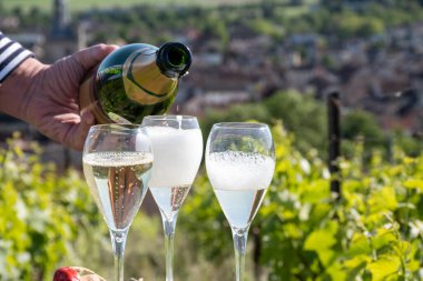 Kuru, köpüklü şarap brut, büyük rezervler, yeşil tepe üzüm bağlarında şampanya ve Vallee de la Marne, Fransa 'nın Şampanya Bölgesi' nde köy yapımı eski şaraplar.