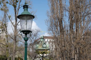 Şehir parkında yürümek ve baharda Viyana 'da bahçeler, güzel binaları ve caddeleri olan şehir merkezi, şehir manzarası, ilkbaharda Avusturya başkenti, ağaçlar ve çiçekler.
