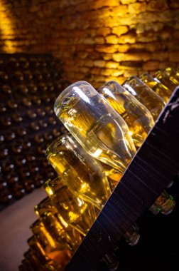 Derin ve uzun yeraltı mağaralarındaki raflarda şişeler şarap ve siyah üzümlerden şampanya yapıyor Reims, Champagne, Fransa 'da