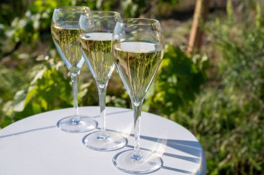 Kuru, köpüklü şarap brut, büyük rezervler, yeşil tepe üzüm bağlarında şampanya ve Vallee de la Marne, Fransa 'nın Şampanya Bölgesi' nde köy yapımı eski şaraplar.