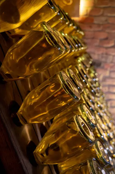 Derin ve uzun yeraltı mağaralarındaki raflarda şişeler şarap ve siyah üzümlerden şampanya yapıyor Reims, Champagne, Fransa 'da