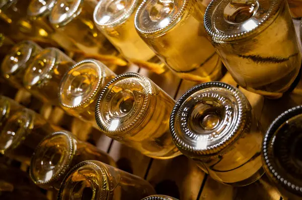 Derin ve uzun yeraltı mağaralarındaki raflarda şişeler şarap ve siyah üzümlerden şampanya yapıyor Reims, Champagne, Fransa 'da