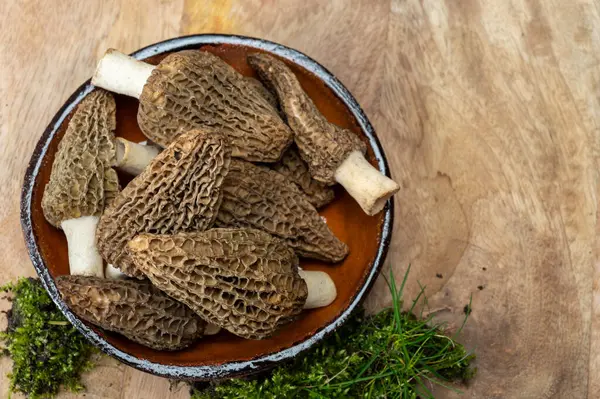 Çiğ bahar mantarları morşeller ya da gerçek mantarlar gurme aşçılar için yenilebilir kese mantarları, Katalan ve Fransız mutfağında, yenilebilir yabani mantarlar