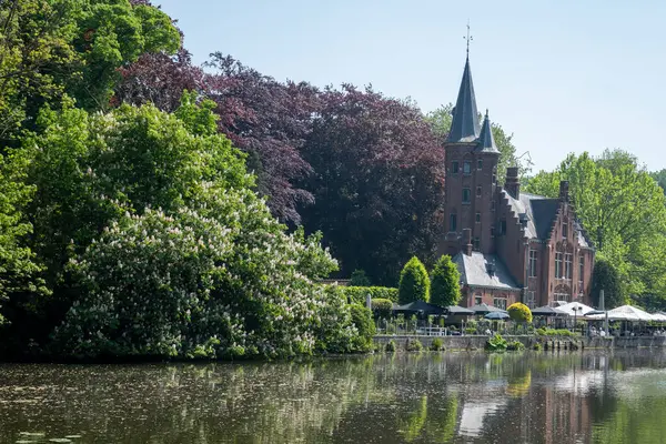 Bruges kasabası, Flanders, Belçika 'da güzel eski binaları olan göl ve şehir parkı manzarası.
