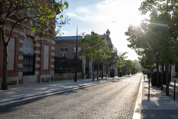 Şampanya Bulvarı 'nda gün batımında yürümek, Epernay, Fransa, cadde manzarası, ağaçlar, dekorasyonlar, gün ışığında şampanya evleri.