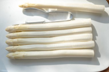 Hollandalı çiftçiler yüksek kaliteli ürünler, yıkanmış ve soyulmuş taze beyaz kuşkonmaz, mevsimlik vejetaryen gıdalar, gün ışığında