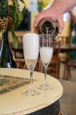 Beyaz, köpüklü şarap brut, Grand Rezerv, Grand Cru 'da şampanya Vallee de la Marne' da köy yapımı Ay-Şampanya Şarabı, Champagne Bölgesi, Fransa