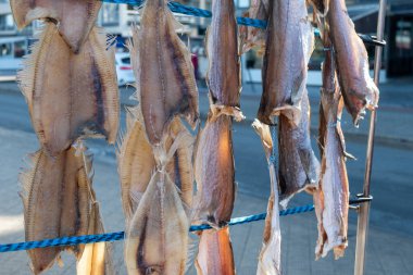 Oostende, Belçika 'da deniz gezintisine havayla ya da tuzlanmış morina balığıyla süslenmiş.
