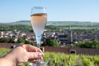 Bir bardak köpüklü şarap brut, büyük rezerv, yeşil tepe üzüm bağlarında şampanya ve Vallee de la Marne 'de eski şarap köyü manzaralı şampanya, Fransa