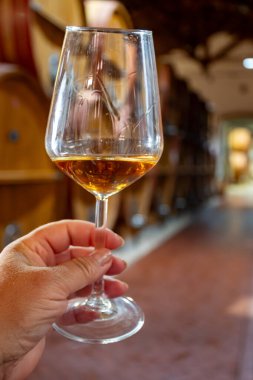 Eski büyük meşe fıçılarıyla şarap mahzeni ziyareti, el ele tutuşma, güçlendirilmiş kuru veya tatlı marsala şarabı Marsala, Sicilya, İtalya, şarap endüstrisi...