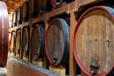 Eski büyük meşe fıçılarıyla şarap mahzeni ziyareti, Marsala, Sicilya 'da güçlendirilmiş kuru veya tatlı marsala şarabı üretimi, İtalya' da şarap endüstrisi