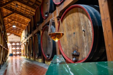 Eski büyük meşe fıçılarıyla şarap mahzenini ziyaret etmek, Marsala, Sicilya, İtalya ve şarap endüstrisindeki varillerden alınmış bir bardak güçlendirilmiş veya lezzetli marsala şarabı.