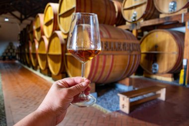 Eski büyük meşe fıçılarıyla şarap mahzeni ziyareti, el ele tutuşma, güçlendirilmiş kuru veya tatlı marsala şarabı Marsala, Sicilya, İtalya, şarap endüstrisi...