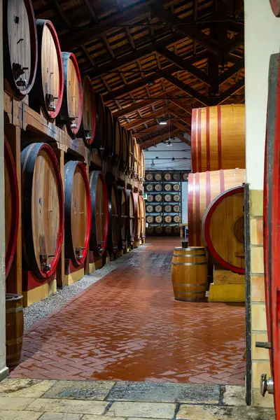 Eski büyük meşe fıçılarıyla şarap mahzeni ziyareti, Marsala, Sicilya 'da güçlendirilmiş kuru veya tatlı marsala şarabı üretimi, İtalya' da şarap endüstrisi