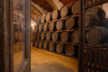 Eski büyük meşe fıçılarıyla şarap mahzeni ziyareti, Marsala, Sicilya 'da güçlendirilmiş kuru veya tatlı marsala şarabı üretimi, İtalya' da şarap endüstrisi