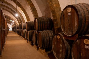 Eski büyük meşe fıçılarıyla şarap mahzeni ziyareti, Marsala, Sicilya 'da güçlendirilmiş kuru veya tatlı marsala şarabı üretimi, İtalya' da şarap endüstrisi