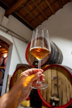 Eski büyük meşe fıçılarıyla şarap mahzenini ziyaret etmek, Marsala, Sicilya, İtalya ve şarap endüstrisindeki varillerden alınmış bir bardak güçlendirilmiş veya lezzetli marsala şarabı.